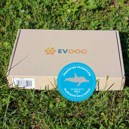 EV-DOC Aero Scheibenwischer, hinten für VW e-Golf, Mercedes EQB & EQC